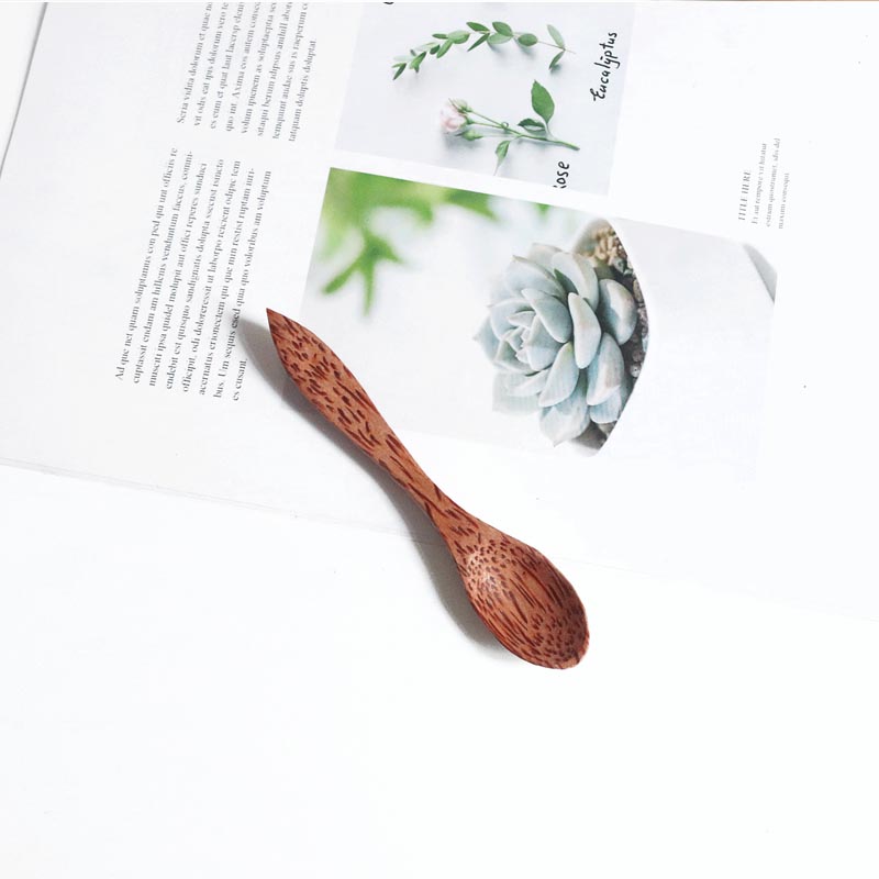 1pcs Natural Coconut Bowl Spoo - Dim Sum Basket avis et prix