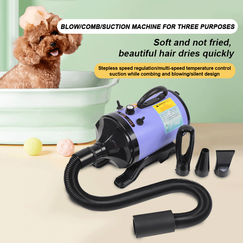 2800W High-power Dogs Hair Dry - Hot Dog Press avis et prix