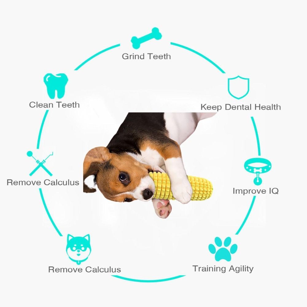 Tough Rubber Dog Chew Corn Sti - Corn Dog Stick avis et prix