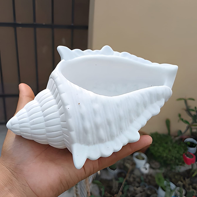 DIY 3D Conch Shaped Silicone C - Potsticker Mold avis et prix