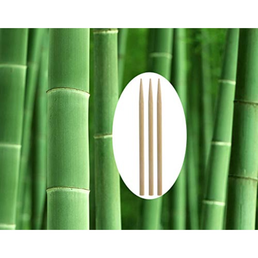 5.5 inch Thick Bamboo Sticks f - Corn Dog Stick avis et prix